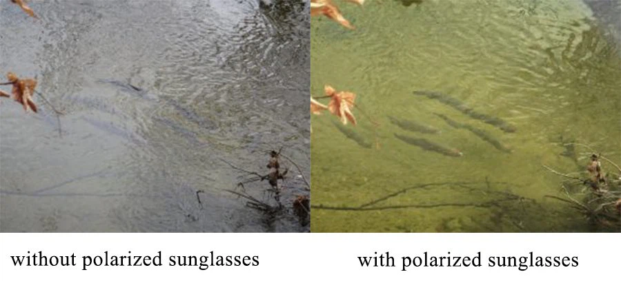 polarized sunglasses polarized sunglasses